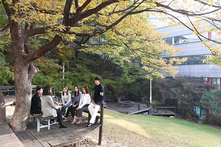 11월, 상명의 가을 